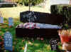 coffin1.jpg (20477 bytes)