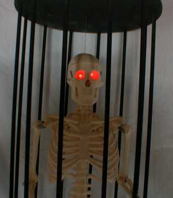 skel-light.jpg (11782 bytes)